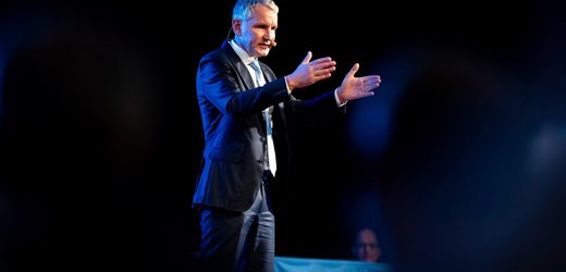 AfD und Volksverhetzung: Justizministerium plant Ausschluss von Kandidaten