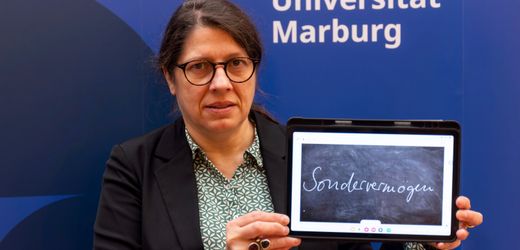 »Sondervermögen« ist »Unwort des Jahres«