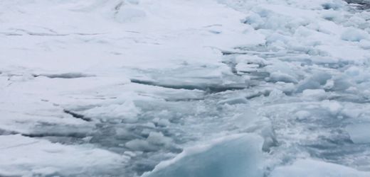 Schifffahrt in der Arktis: Der gefährliche Weg von Russlands Schattenflotte durchs Eis