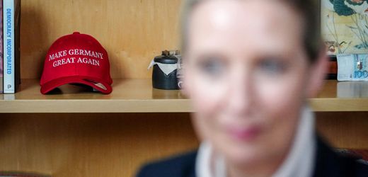 AfD: Alice Weidels Nähe zu Donald Trump und die Folgen – Kolumne