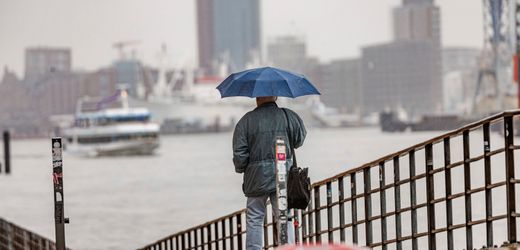 Hamburg: Leiche eines Mannes aus der Elbe geborgen