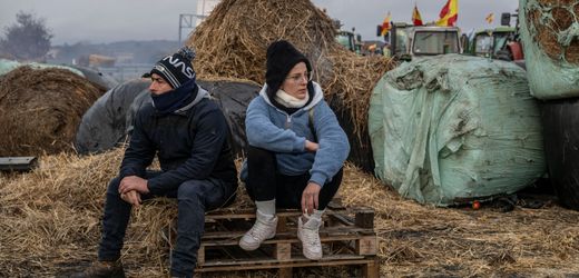 Mercosur: Was soll die linke Feindseligkeit gegenüber Freihandel?