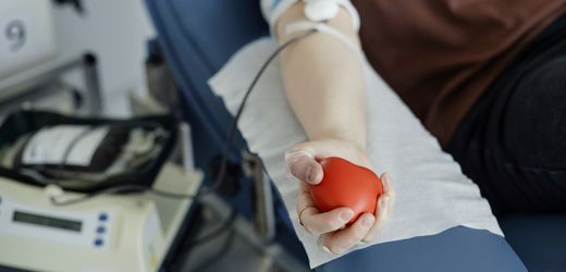 Blutspenden: Rotes Kreuz warnt vor deutschlandweitem Mangel