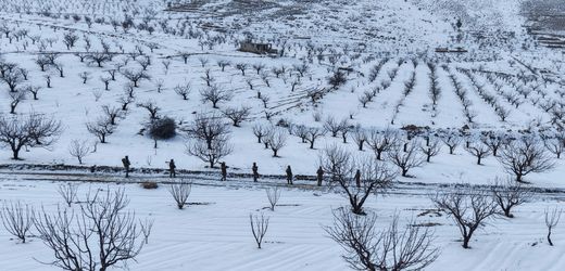 CSU und die Flüchtlinge: Partei will die meisten Menschen aus Syrien abschieben