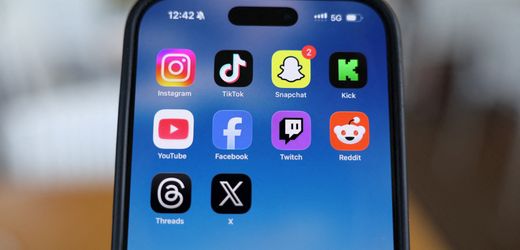 Frankreich: Parlament stimmt für Social-Media-Verbot für Kinder und Jugendliche unter 15 Jahren