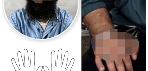 Bremen: Wie ein Spitzel in der linksextremen Szene aufflog