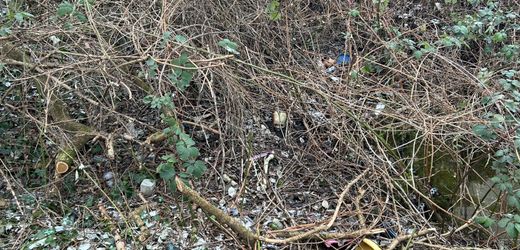 Worms: Kinder finden menschlichen Schädel bei Bolzplatz