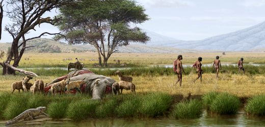 Fund in Marokko: Spur zum Vorfahren aller Menschen