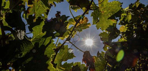 Trump droht Frankreich mit Zöllen von 200 Prozent auf Champagner und Wein