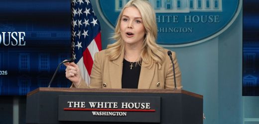 Grönland: Weißes Haus sieht Arbeitsgruppe offenbar als Verkaufsgespräch