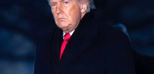 Donald Trump: Vor Davos teilt Trump gegen Macron und Europäer aus