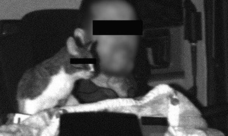 Tierisches Blitzerfoto auf A2: Katze leistet Fahrer im Führerhaus Gesellschaft – Polizei hat wichtigen Hinweis