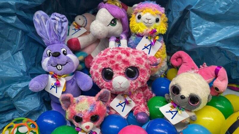 Netzwerk Oberstraße organisiert Spendenaktion in Neuss: Eine kuschelige Erinnerung an den Kappessonntagszug