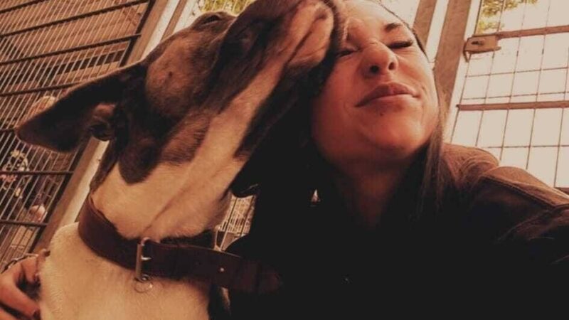 „Schwieriger Fall“ im Tierheim Dormagen: „Püppi“ wartet seit über fünf Jahren auf ein neues Zuhause