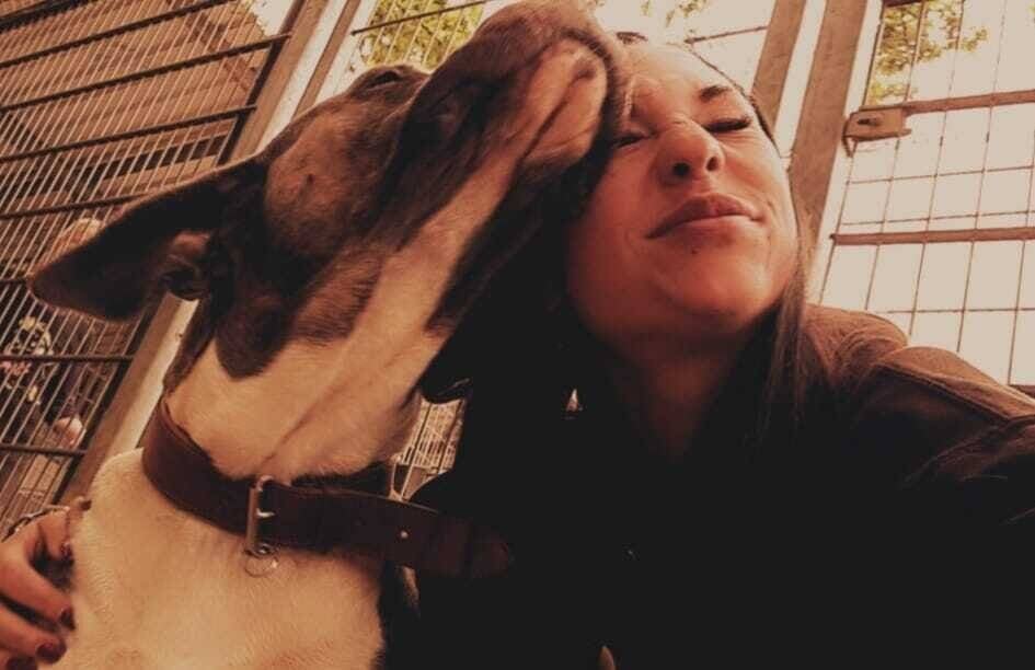 „Schwieriger Fall“ im Tierheim Dormagen: „Püppi“ wartet seit über fünf Jahren auf ein neues Zuhause