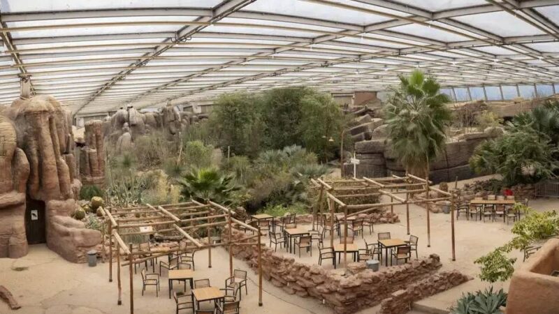 Bis Mitte 2026: Im Burgers‘ Zoo in Arnheim laufen Umbauarbeiten