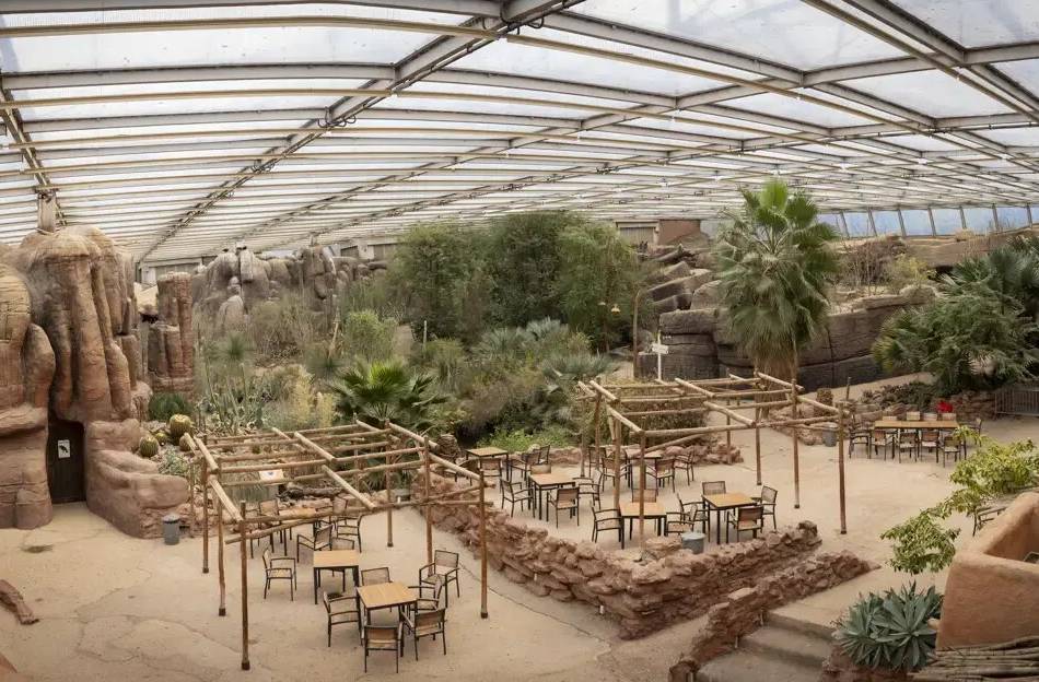 Bis Mitte 2026: Im Burgers‘ Zoo in Arnheim laufen Umbauarbeiten