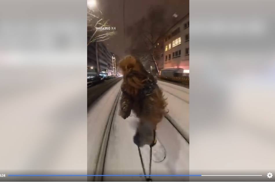 Video sorgt für Aufsehen: Chewbacca auf Snowboard in Düsseldorf – Polizei ermittelt