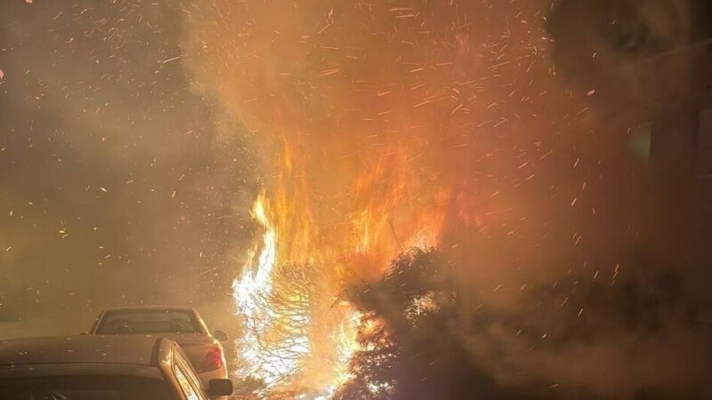 Jahreswechsel in Kleve: Hecken und Mülltonne in Brand – drei Einsätze für Feuerwehr an Silvester