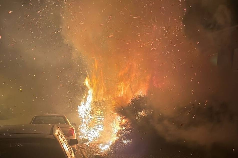 Jahreswechsel in Kleve: Hecken und Mülltonne in Brand – drei Einsätze für Feuerwehr an Silvester