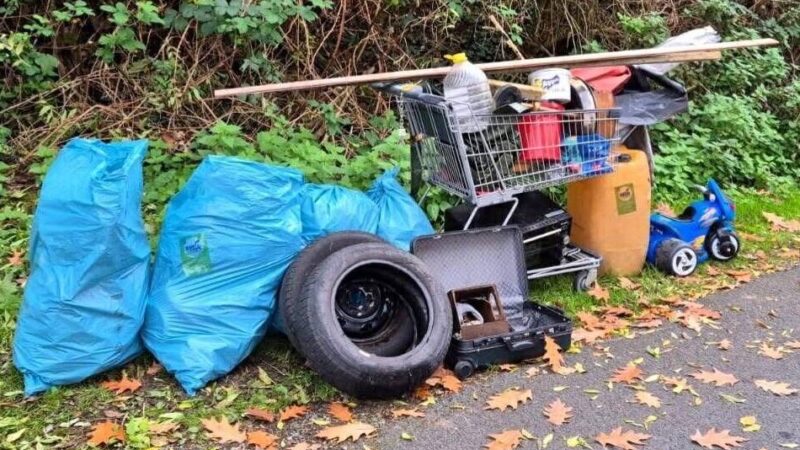 Rhein Clean Up und städtische Aktion: Frühjahrsputz in Dormagen