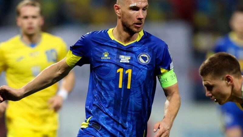 Bosnier kommt aus Florenz: Mit Dzeko zum Aufstieg? Schalke hat einen neuen Star