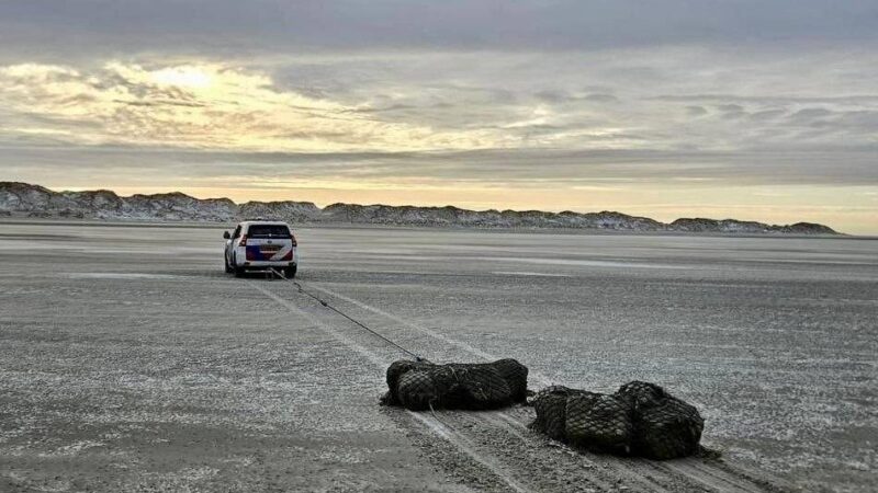 Mutmaßlich Drogensendungen: Mysteriöse Pakete am Strand von Terschelling angespült