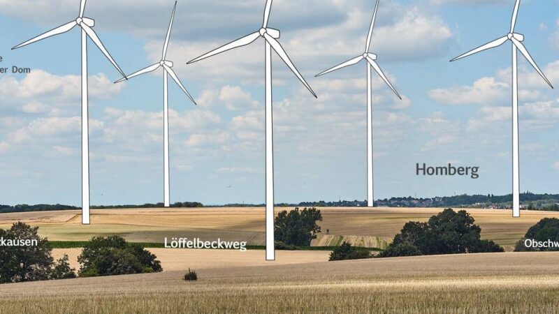 Warnung vor Zielkonflikt Windräder in Mettmann: Naturschutz versus Klimaschutz