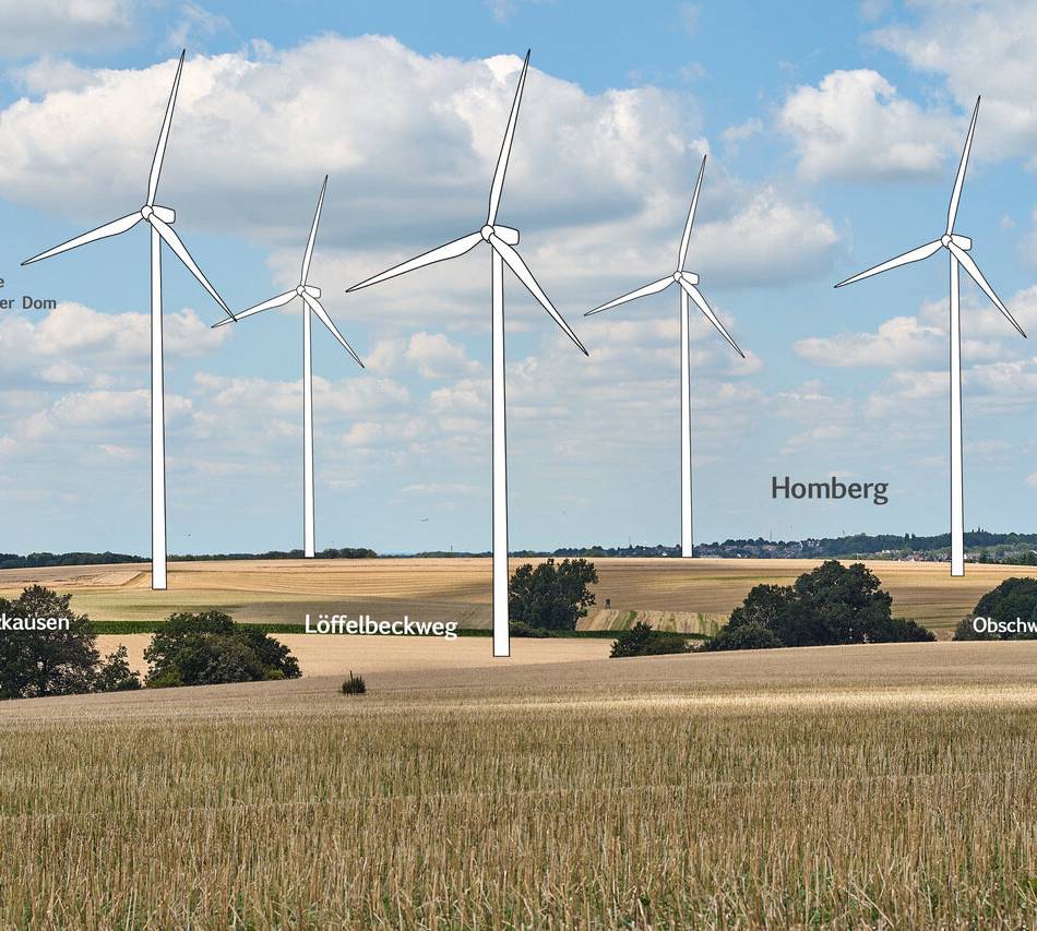 Warnung vor Zielkonflikt Windräder in Mettmann: Naturschutz versus Klimaschutz