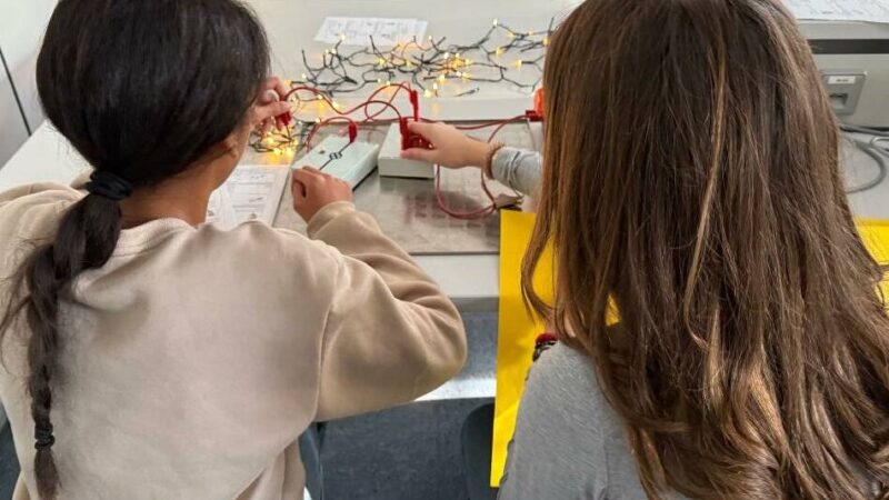 Friedrich-Ebert-Schule: Schüler und Lehrer entwerfen neues Logo