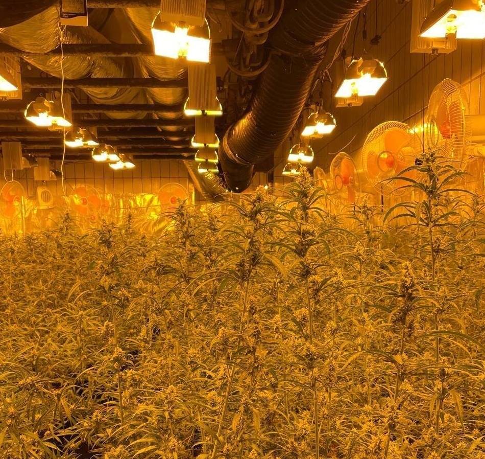 Razzia in NRW und den Niederlanden: Polizei gelingt Schlag gegen internationale Drogenbande