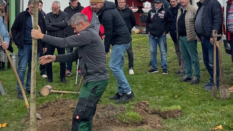 Stadtgespräche in Viersen: Gutschein, Spende und ein Amberbaum