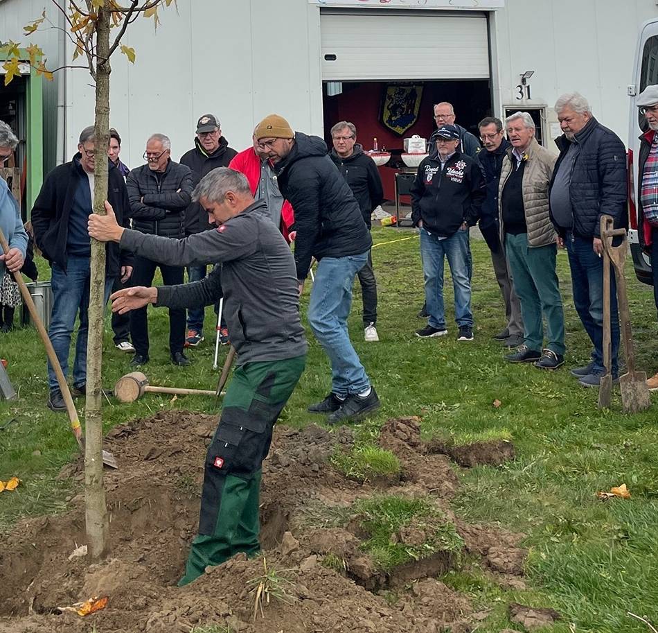 Stadtgespräche in Viersen: Gutschein, Spende und ein Amberbaum