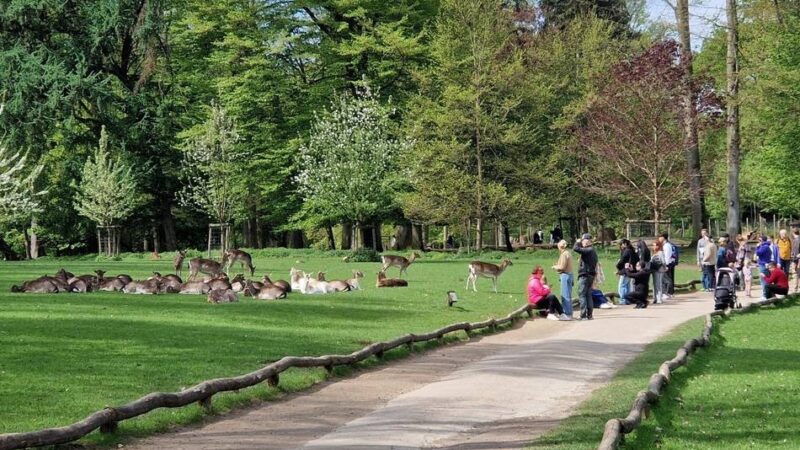 Wegen Glätte: Wildpark in Grafenberg bleibt Samstag vorerst geschlossen