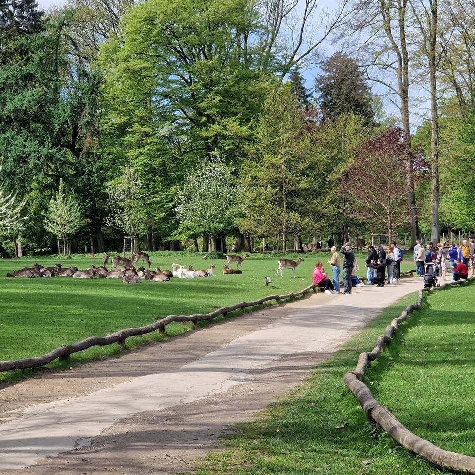 Wegen Glätte: Wildpark in Grafenberg bleibt Samstag vorerst geschlossen