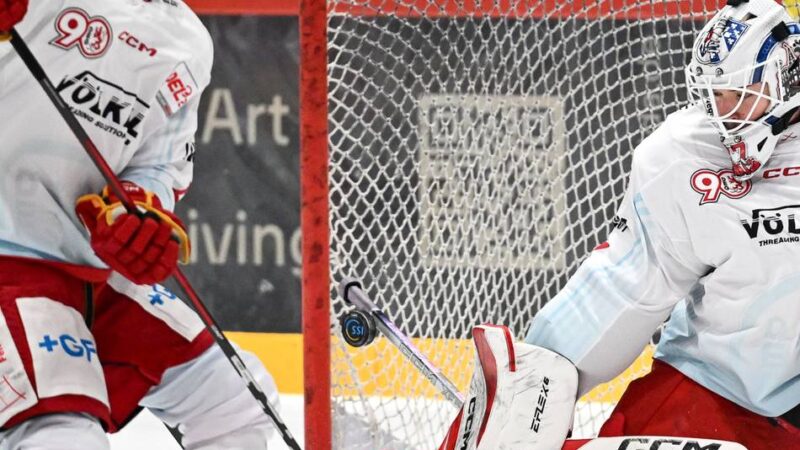 Lunemann hat die Nase vorn: Torhüterfrage bei der DEG brisanter denn je