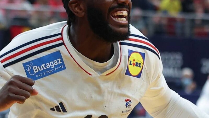 Franzose kommt 2027: Hammer-Transfer perfekt – Füchse Berlin holen Star-Handballer Mem