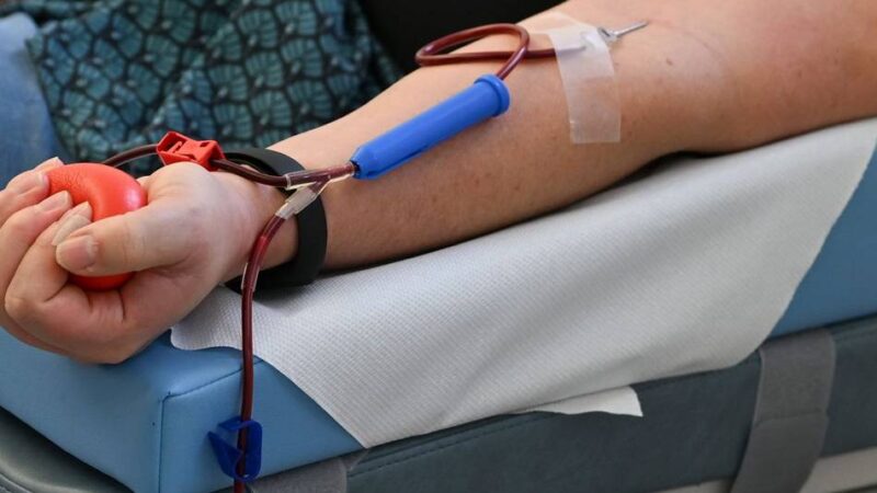 Gesundheit in Mettmann: Rotes Kreuz ruft zur Blutspende auf