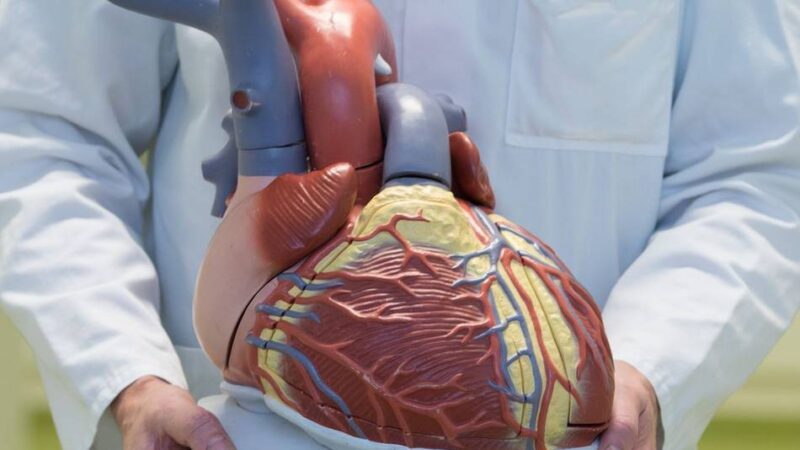 Behandlungen in Krankenhäusern: Die häufigsten Leiden der Menschen im Kreis Kleve