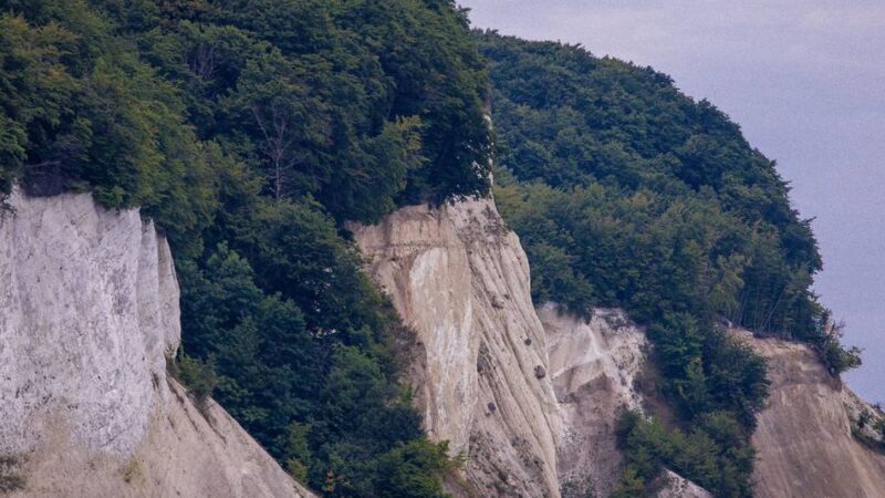 Verein aus Meerbusch: Heimatkreis Lank geht 2026 wieder auf Reisen