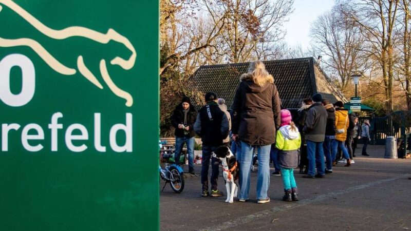 Vogelgrippe im Krefelder Zoo: „Es ist eine dauerhafte Risikoabwägung“