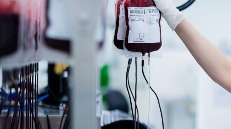 Blutspendetermine in Ratingen: DRK sucht Blutspender