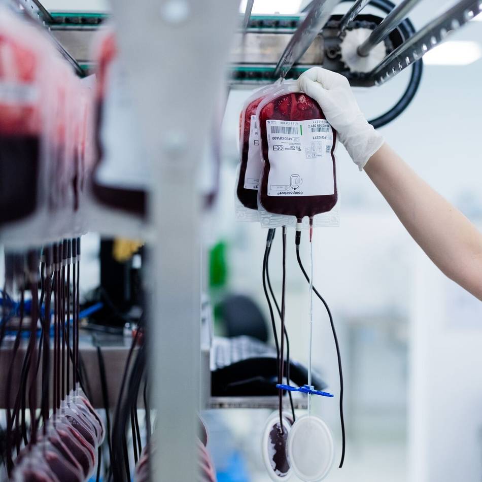 Blutspendetermine in Ratingen: DRK sucht Blutspender