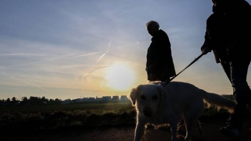 Leseraufruf: Endlich Sonne – schicken Sie uns Ihre Fotos