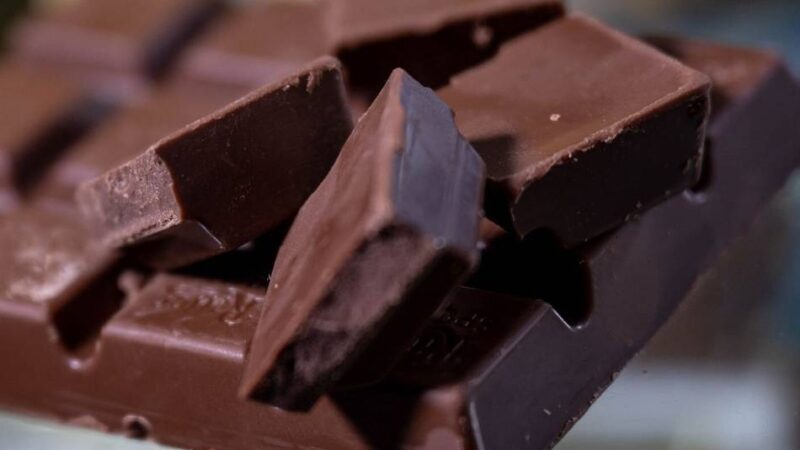 Katholisches Bildungsforum in Leverkusen: Mit Schokolade Demokratieverständnis wecken