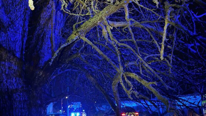 Brennender Baum: Neues Jahr beginnt direkt mit einem Einsatz für die Feuerwehr Alpen