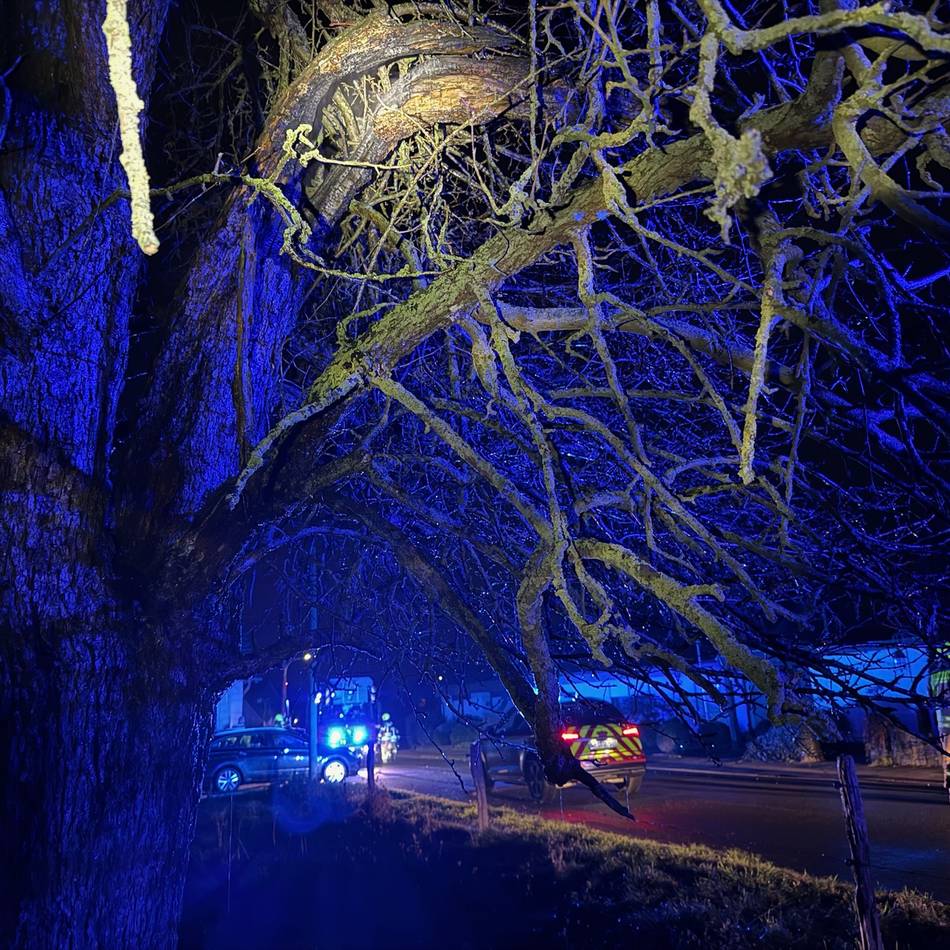 Brennender Baum: Neues Jahr beginnt direkt mit einem Einsatz für die Feuerwehr Alpen