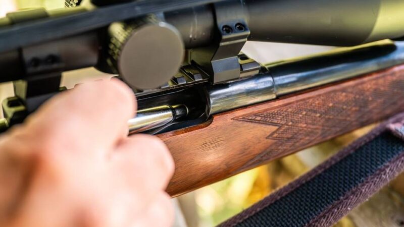 Erschossenes Pferd in Neuss: Staatsanwaltschaft Düsseldorf hat Verfahren gegen Jäger eingestellt