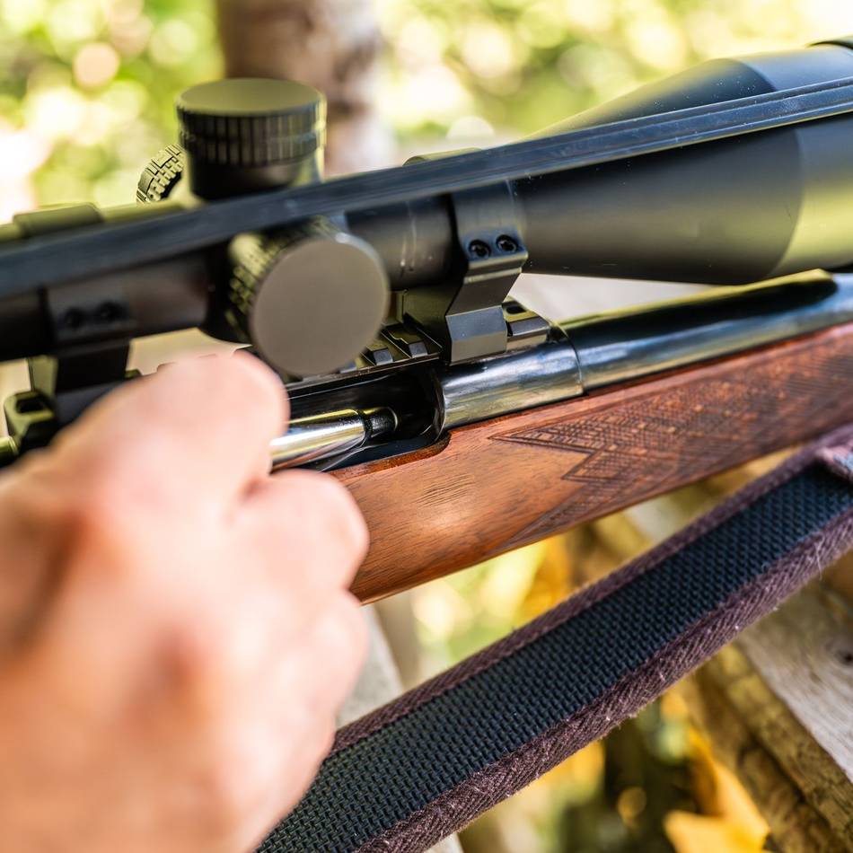 Erschossenes Pferd in Neuss: Staatsanwaltschaft Düsseldorf hat Verfahren gegen Jäger eingestellt