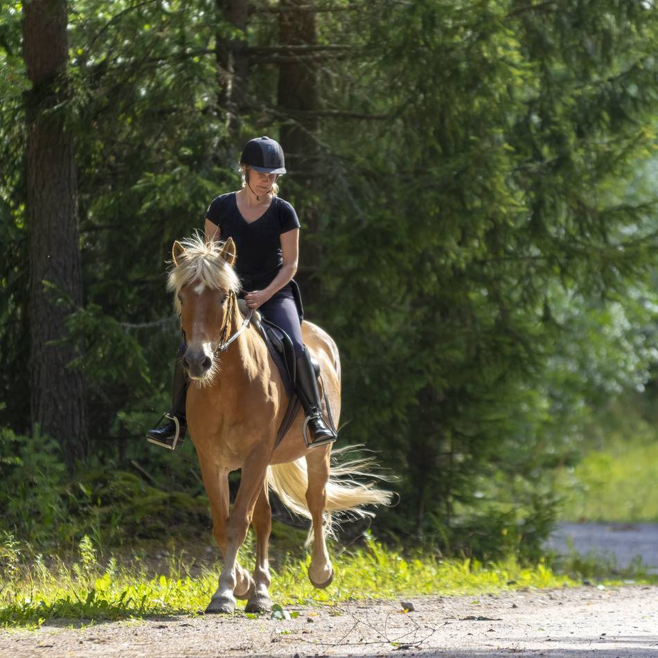 Reitwege sind Reitern vorbehalten: Reitplakette kann online beantragt werden